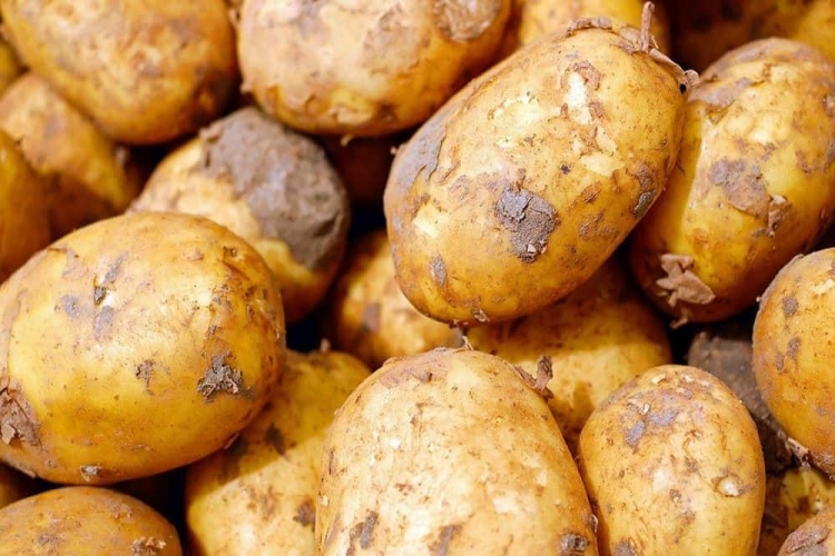 Patates Demir Eksikliğine İyi Gelir Mi?