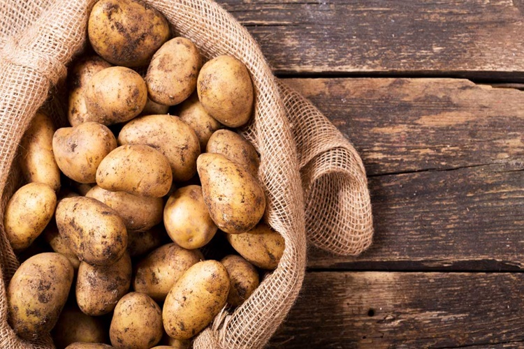 Patates Hangi Ayda Ekilir?
