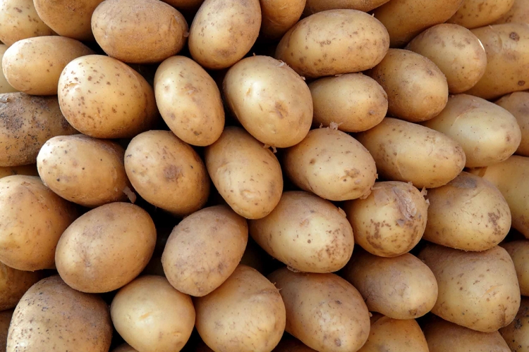 Patates Mideye İyi Gelir Mi?