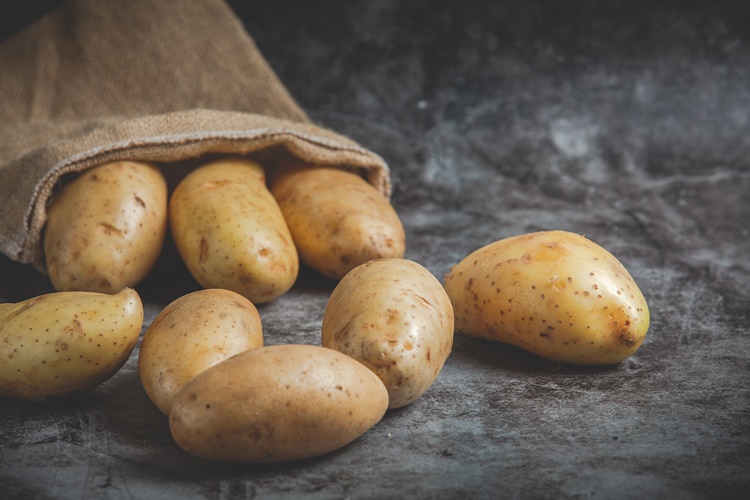Patates Nasıl Toplanır?
