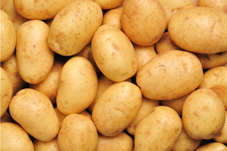 Patates Ne Zaman Budanır?