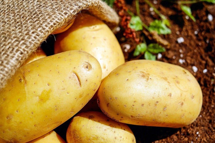 Patates Neden Tatlı Olur?