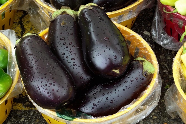 Patlıcanın Bozulduğu Nasıl Anlaşılır?