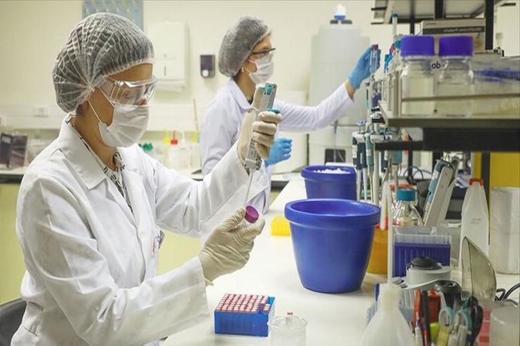PCR Testi Barkod No Nedir?