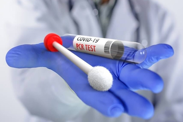 Pcr Testi Nerelerde Zorunlu Olacak?
