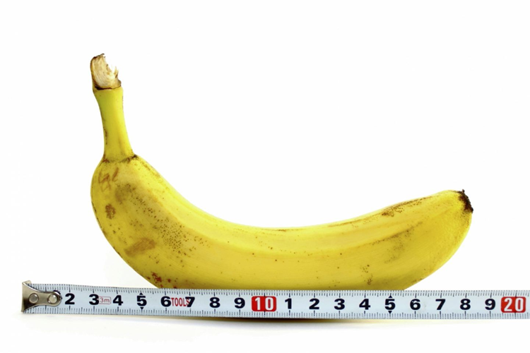 Penis Boyu Nereden Anlaşılır?