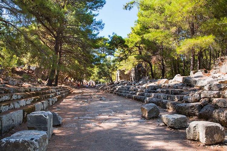 Phaselis Müze Kart Geçerli Mi?