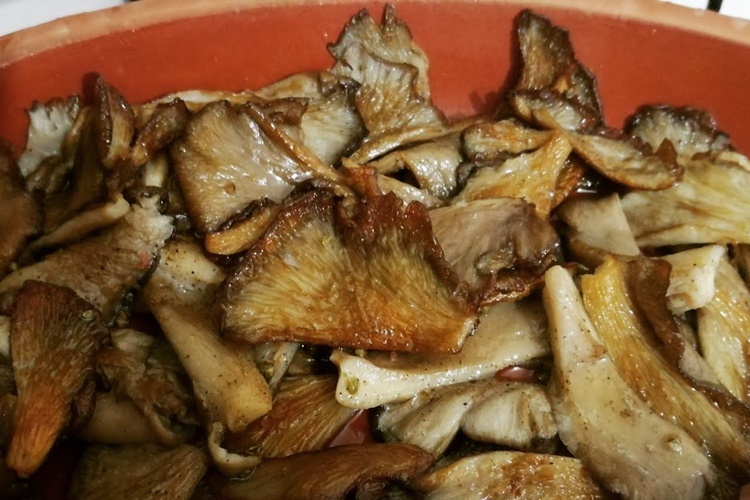 Pişmiş İstiridye Mantarı Kaç Günde Bozulur?