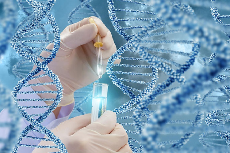 Preimplantasyon Genetik Tanı Kimlere Yapılmaz?