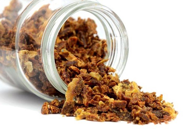 Propolis Bağışıklığı Güçlendirir Mi?