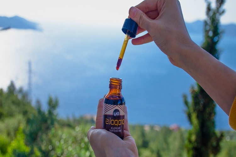 Propolis Bağışıklık Sistemini Güçlendirir Mi?
