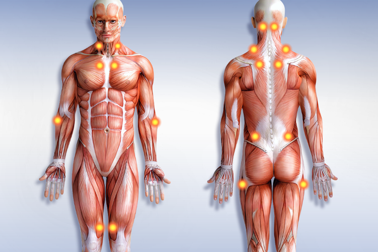Propolis Fibromiyaljiye İyi Gelir Mi?