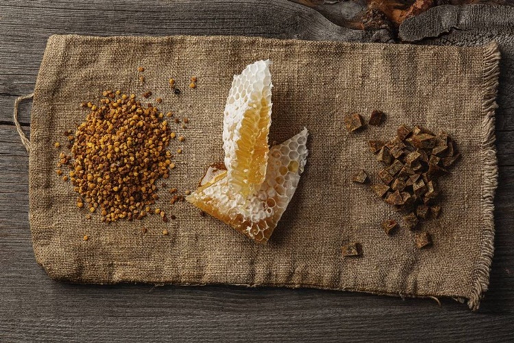 Propolis Hangi Hastalıklarda Tüketilir?