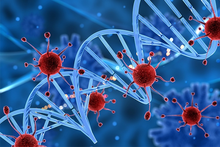 Propolis Hpv Hastalığı İçin Kullanılır Mı?