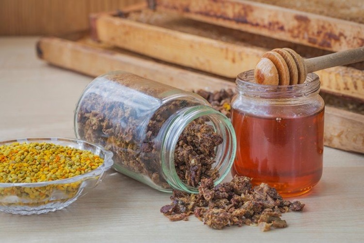 Propolis Ihlamura Damlatılırsa Ne İşe Yarar?