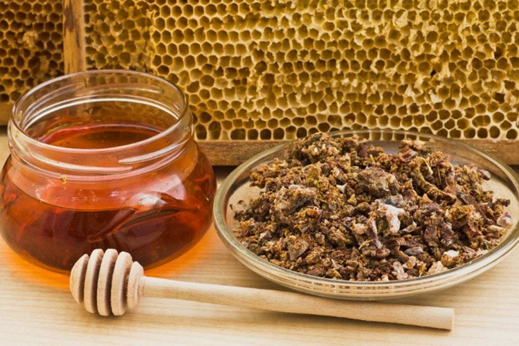 Propolis Jel Nerden Alınır?