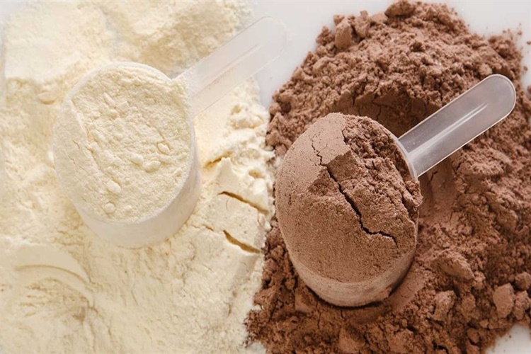 Protein Tozu Neyden Yapılır?