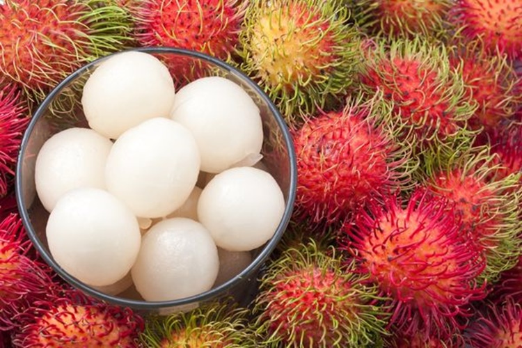 Rambutan Türkiye’de Yetişir Mi?