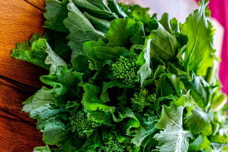 Rapini Tohumu Nasıl Ekilir?