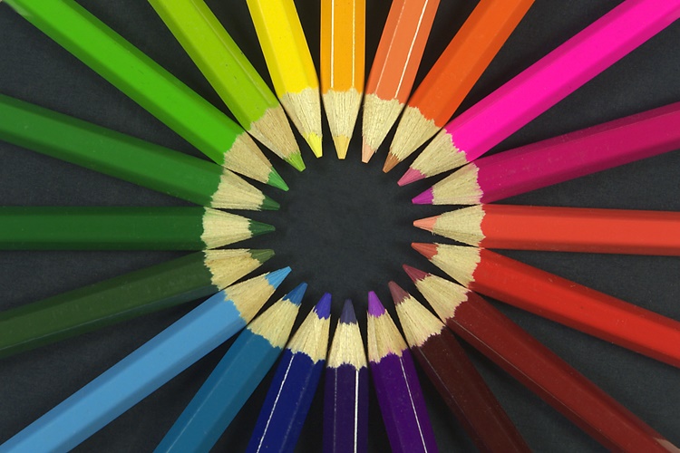 Renk Körleri Silah Ruhsatı Alabilir Mi?