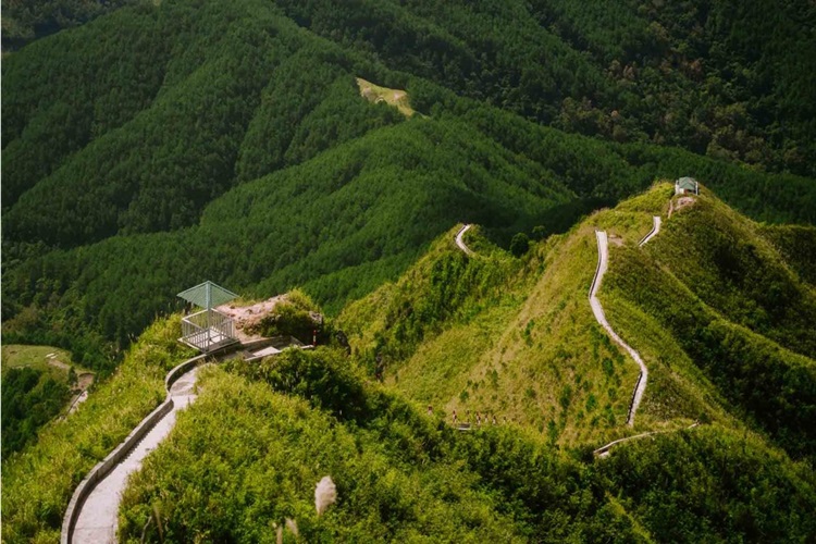 Reygras Otu Kaç Günde Kurur?