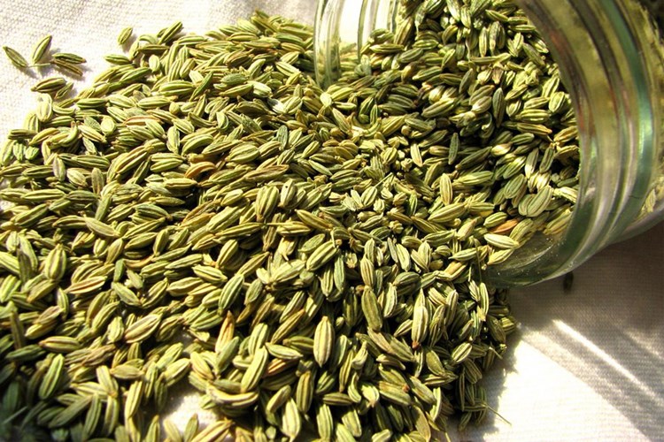 Rezene Çayı Ne İşe Yarar?