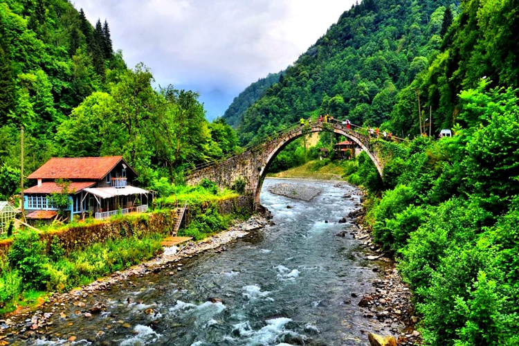 Rize 2023 Nüfusu Kaçtır?