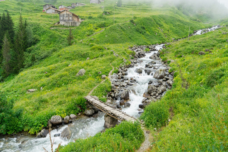 Rize Güneysu 2023 Nüfusu Kaçtır?