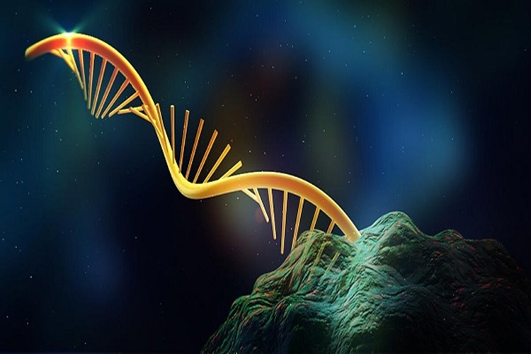 RNA Aşısı Nedir? 