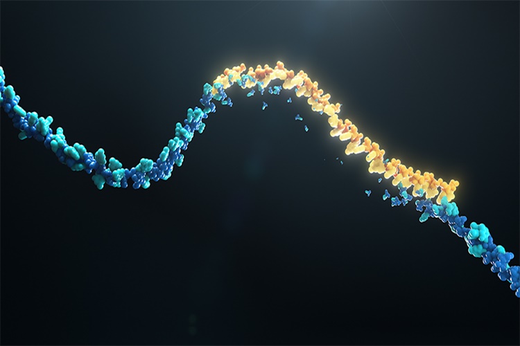 RNA ve DNA Arasındaki Farklar Nelerdir? 
