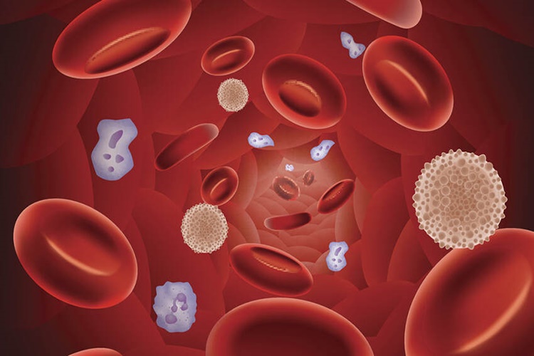 Roaccutane Kan Sulandırır Mı?