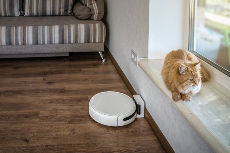 Robot Süpürge Kedi Tüyü Temizler Mi?