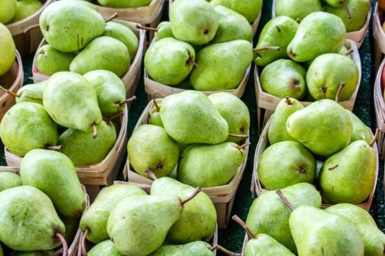Rüyada Armut Ağacı Satın Almak Ne Anlama Gelir?