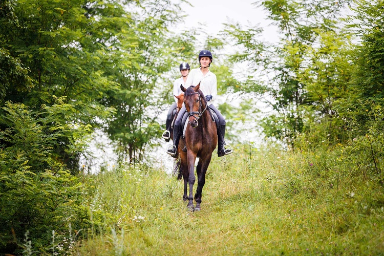 Rüyada At Üstünde Koşmak Ne Anlama Gelir? - Güncel Oku