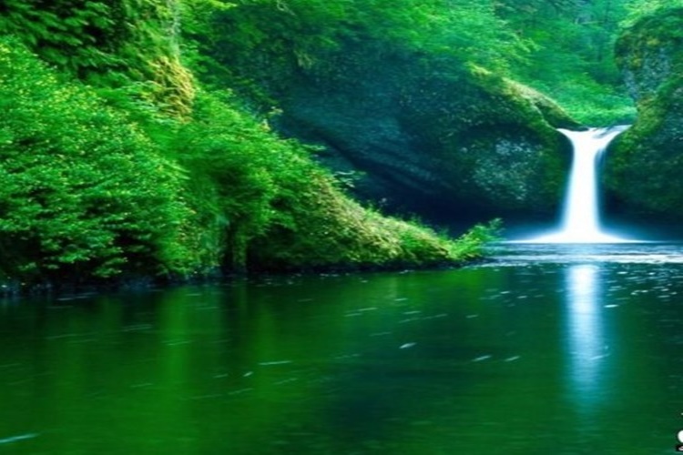 Rüyada Cenneti Görmek Ne Anlama Gelir?