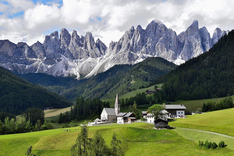 Rüyada Dağ Ceylanı Görmek Ne Anlama Gelmektedir? - Güncel Oku