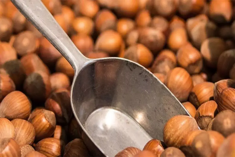 Rüyada Fındık Almak Ne Anlama Gelir?