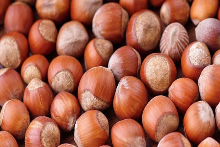 Rüyada Fındık Toplamak Ne Anlama Gelir?