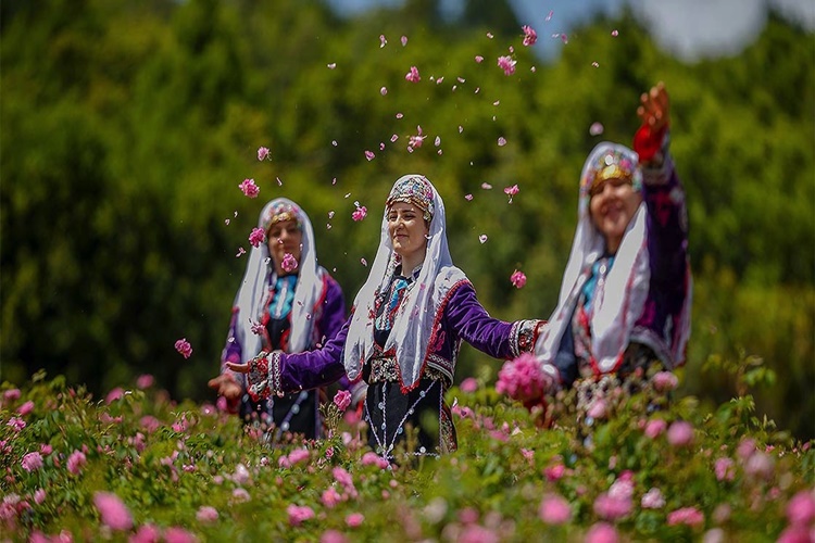 Rüyada Gül Toplamak Ne Anlama Gelir?