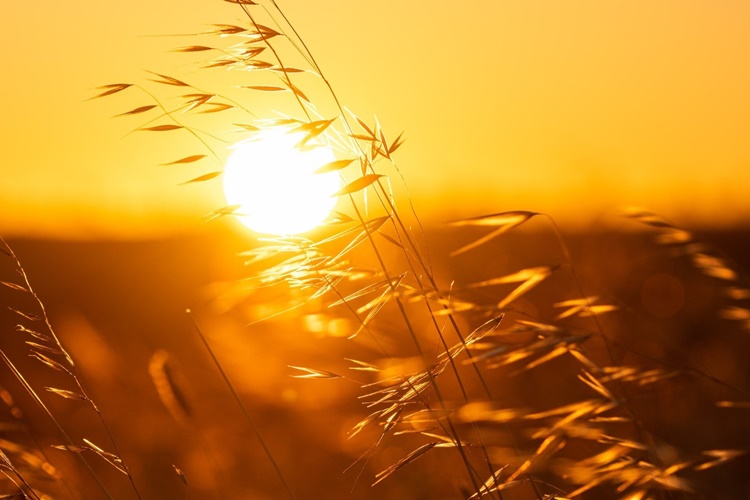 Rüyada Güneş Işığı Görmek Ne Anlama Gelir? - Güncel Oku