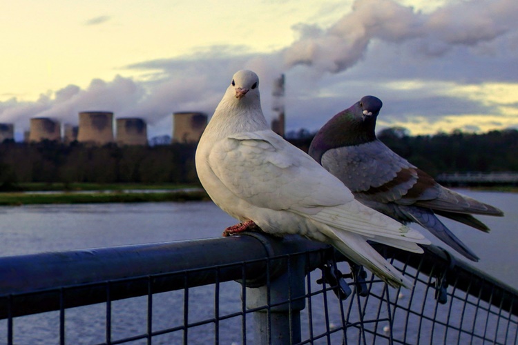 Rüyada Düğün Hazırlığı Görmek Ne Anlama Gelir? - Güncel Oku