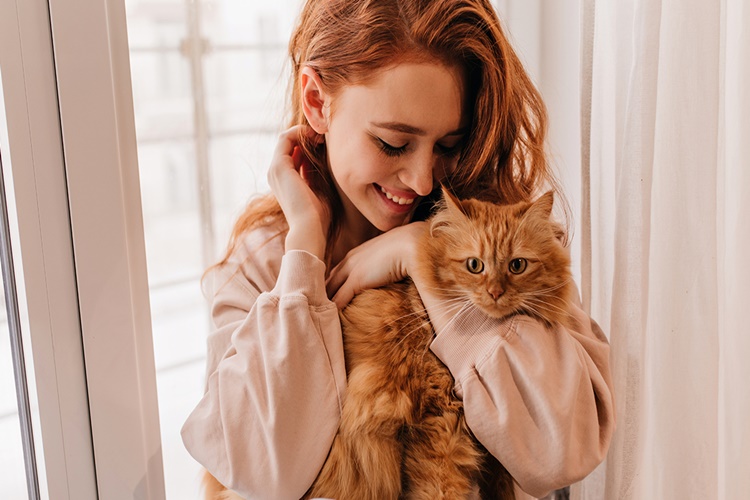 Rüyada Kedi Doğurmak Ne Anlama Gelir?