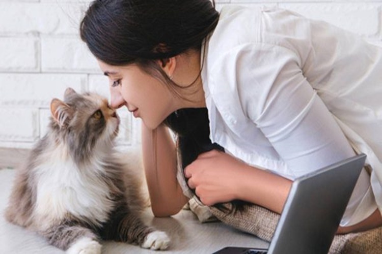Rüyada Kedi Sevmek Ne Anlama Gelir?