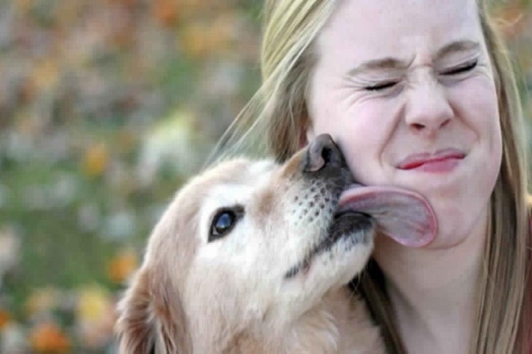 Rüyada Köpek Alıp Beslemek Ne Anlama Gelir?
