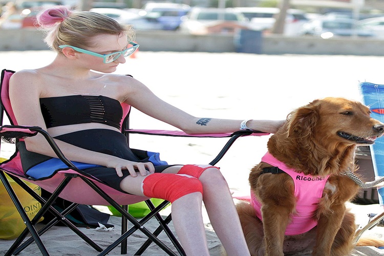 Rüyada Köpek Hediye Almak Ne Anlama Gelir?