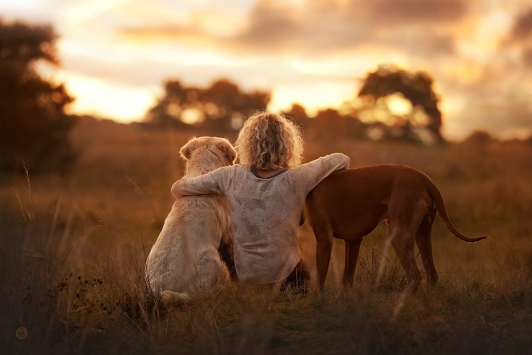 Rüyada Köpek Konuşması Ne Anlama Gelir?