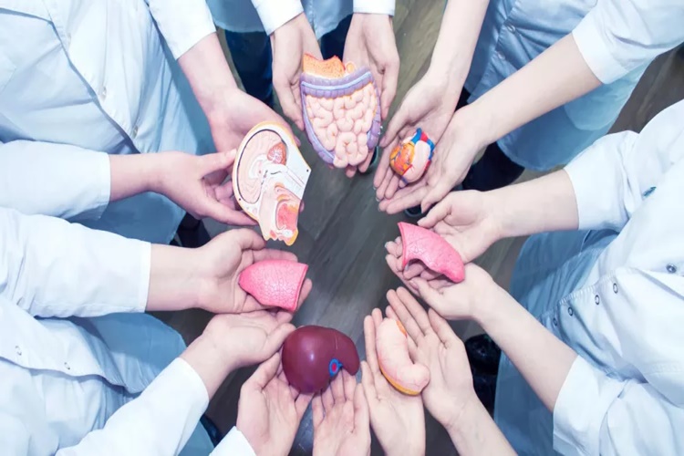 Rüyada Ölen Birine Organ Bağışlamak Ne Anlama Gelir?
