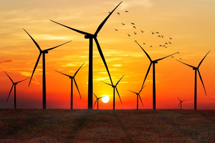 Rüzgâr Enerjisi En Çok Hangi Ülkede Kullanılır?