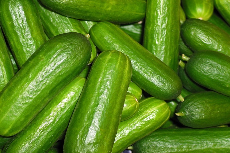 Salatalık Basura İyi Gelir Mi?