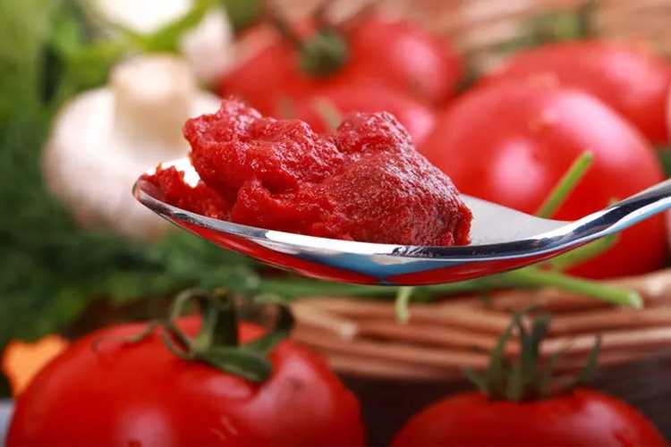 Salçanın Tuzunu Ne Alır?